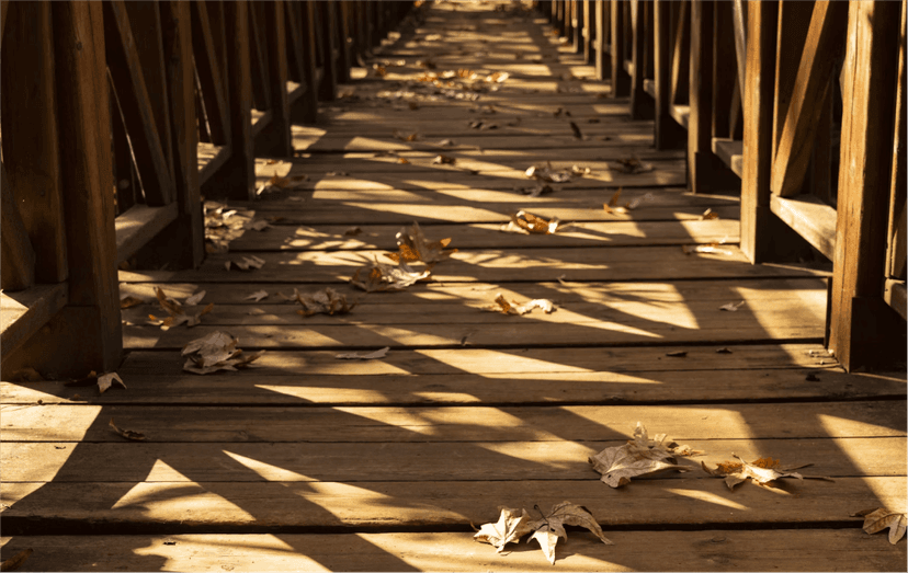 Deck Construction